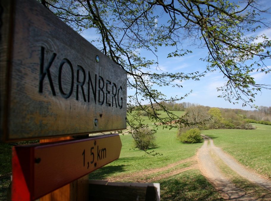 Eröffnung der 10. Rothaarsteig-Spur „Wacholderweg“