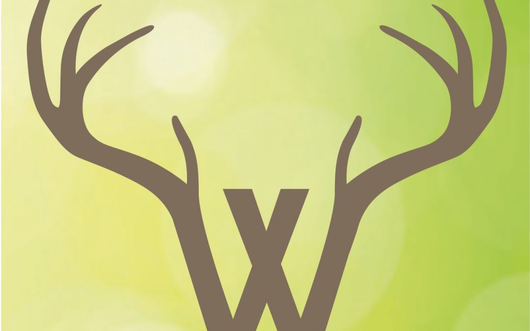 ABGESAGT / Frühlingserwachen im Wildpark Donsbach